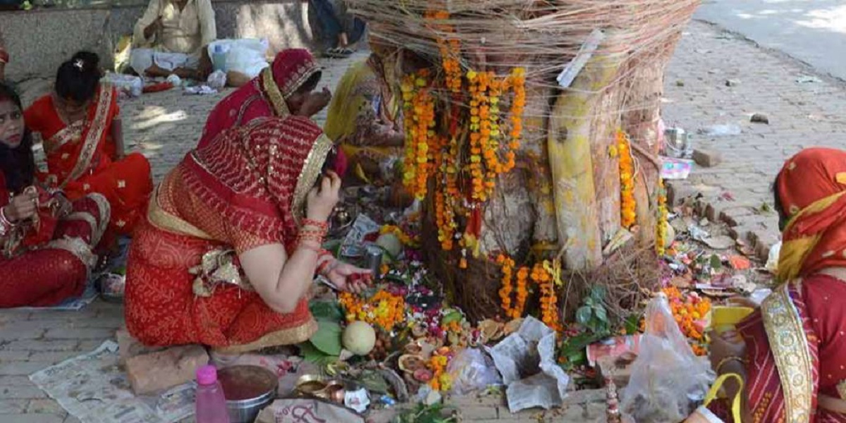 vat savitri vrat