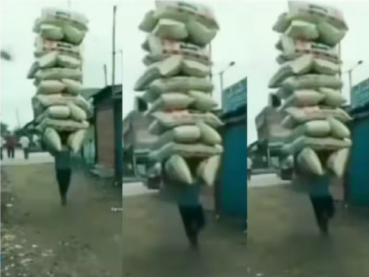 video viral news