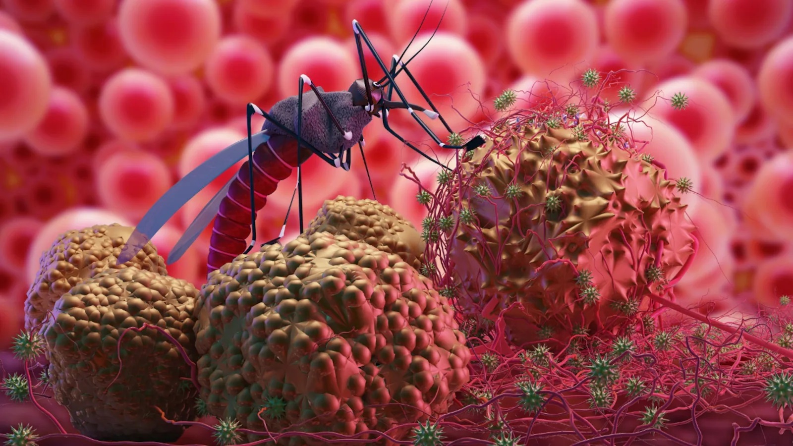 CHANDIPURA VIRUS