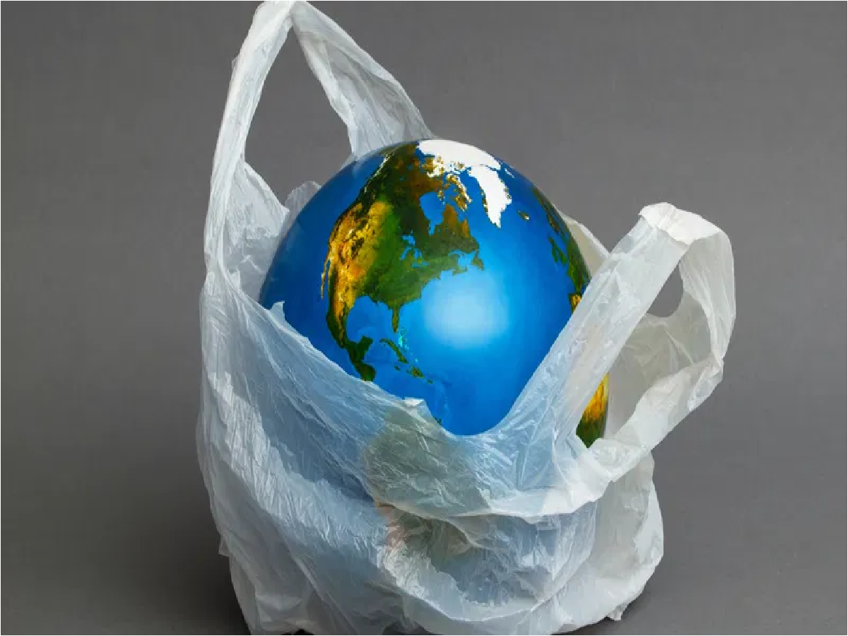 International Plastic Bag Free Day 2024 Satya Day
