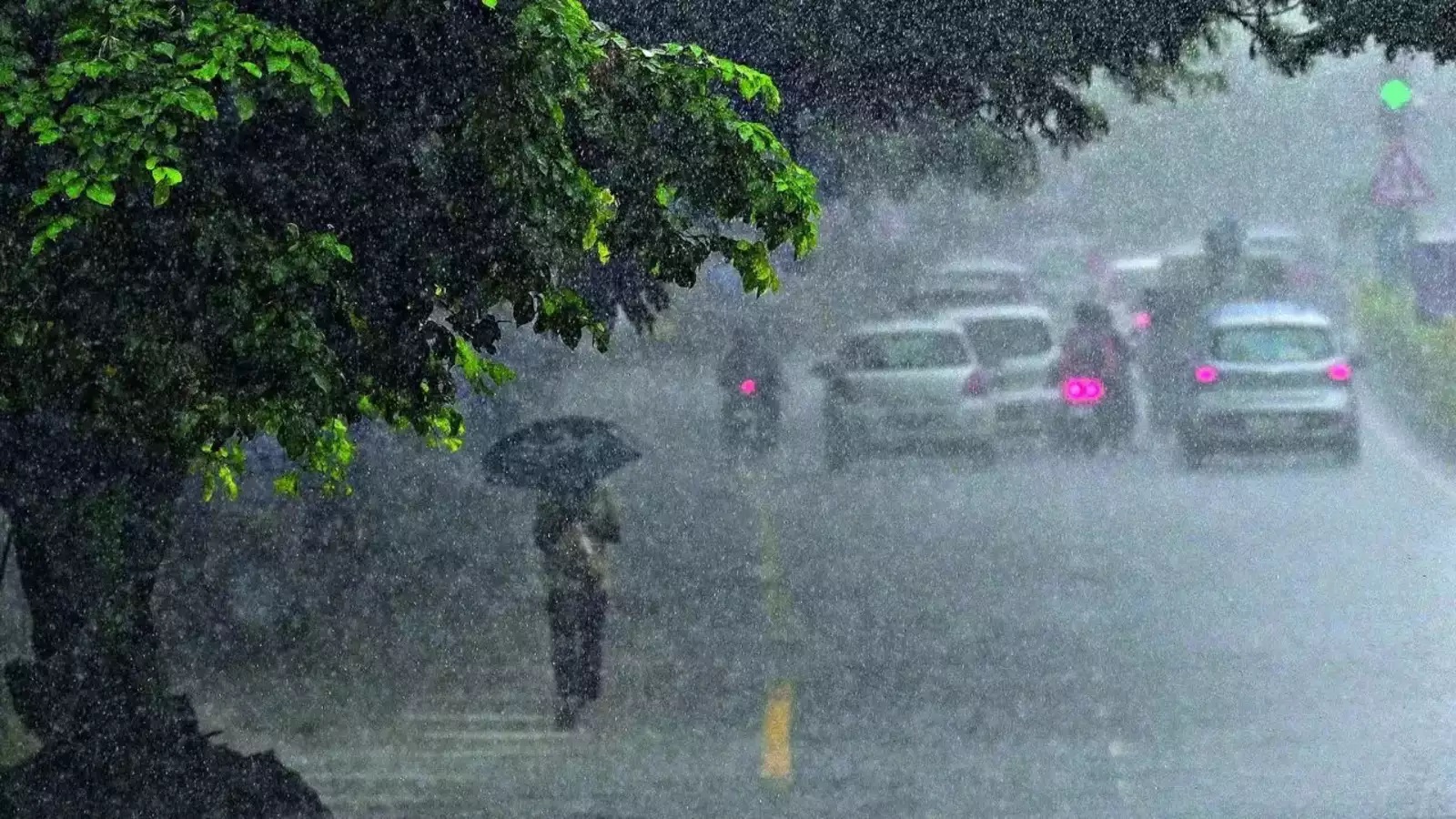 gujarat Heavy Rain