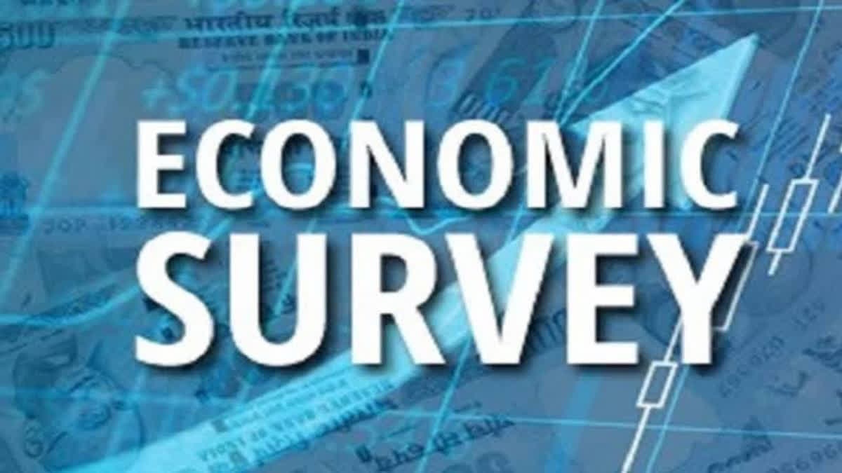 pxpOnm55 economic survey