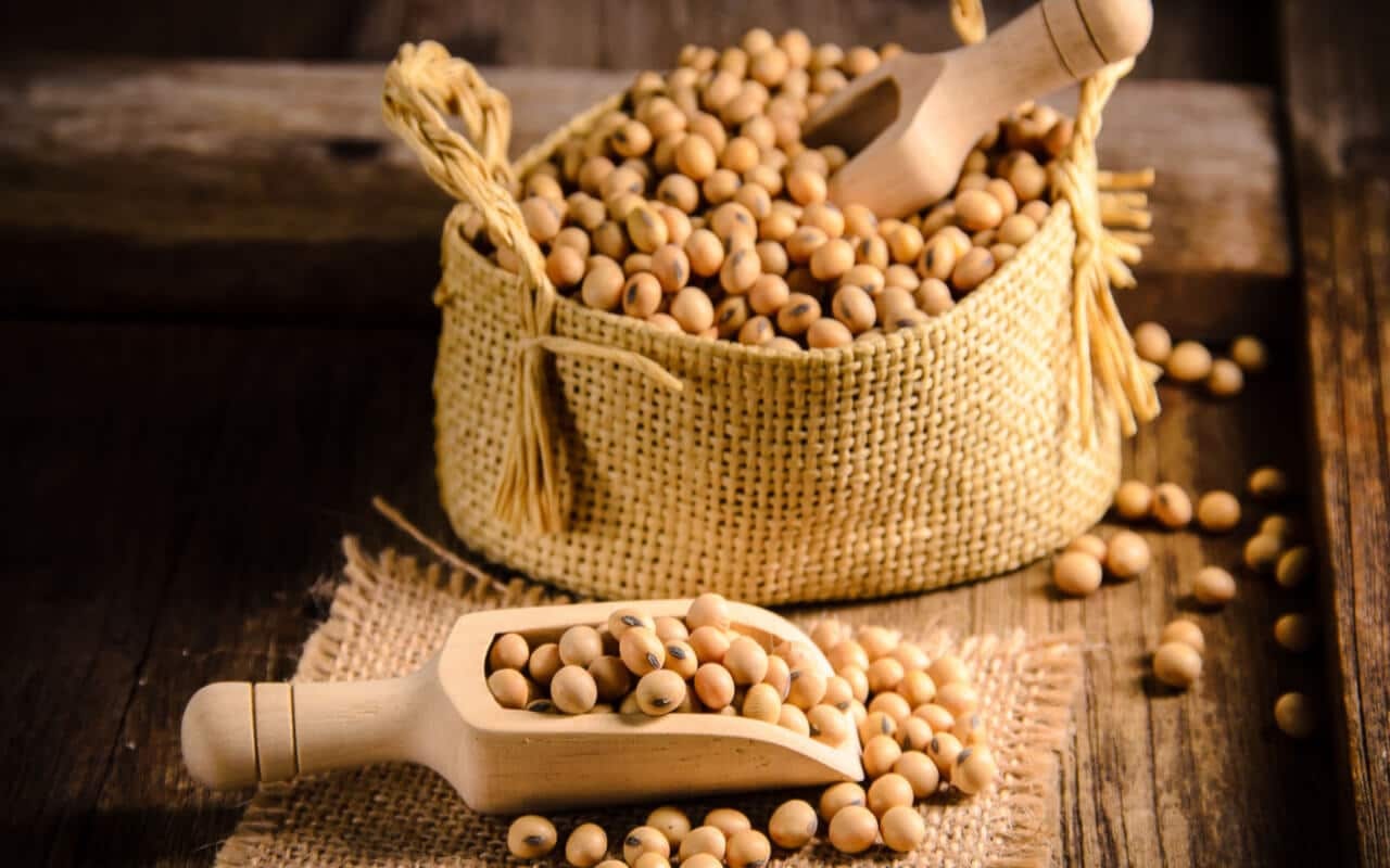 soyabean