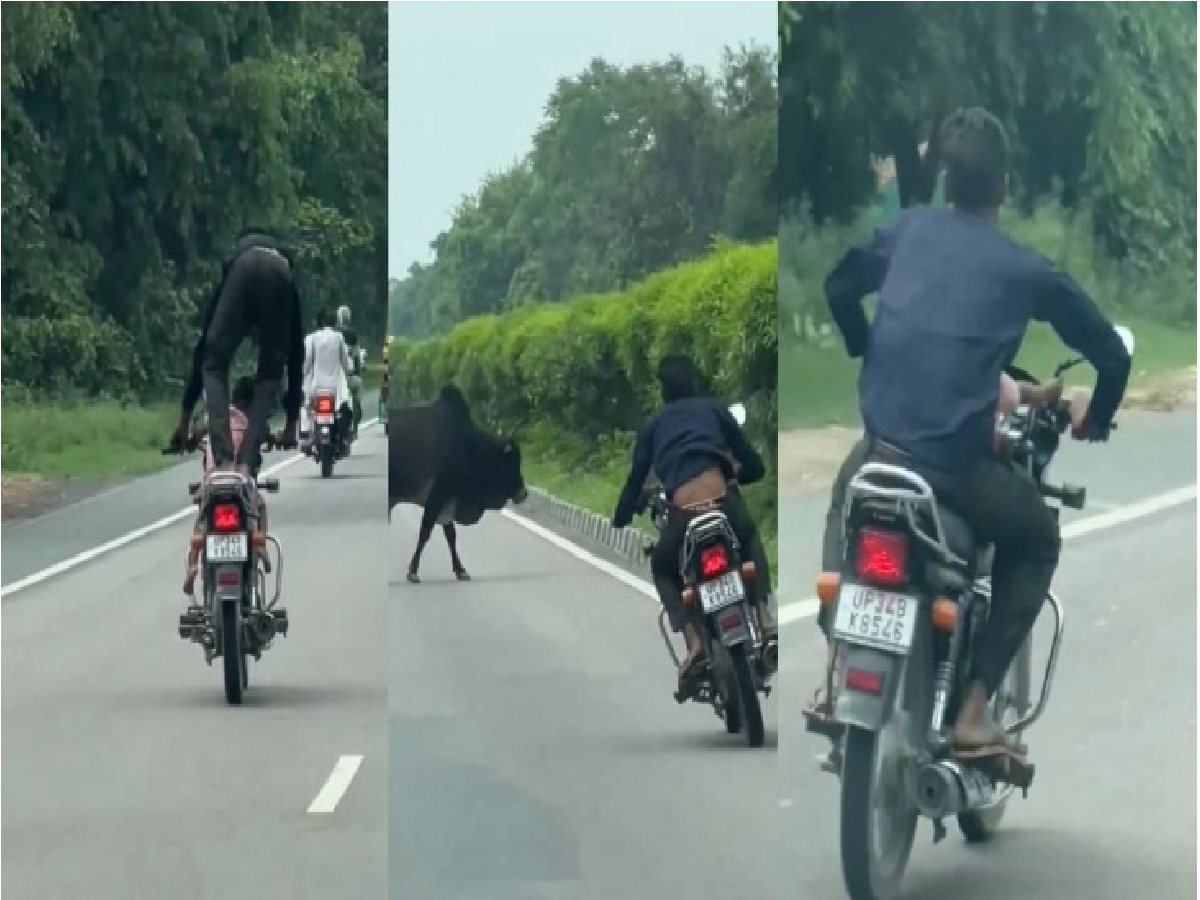 stunt viral video