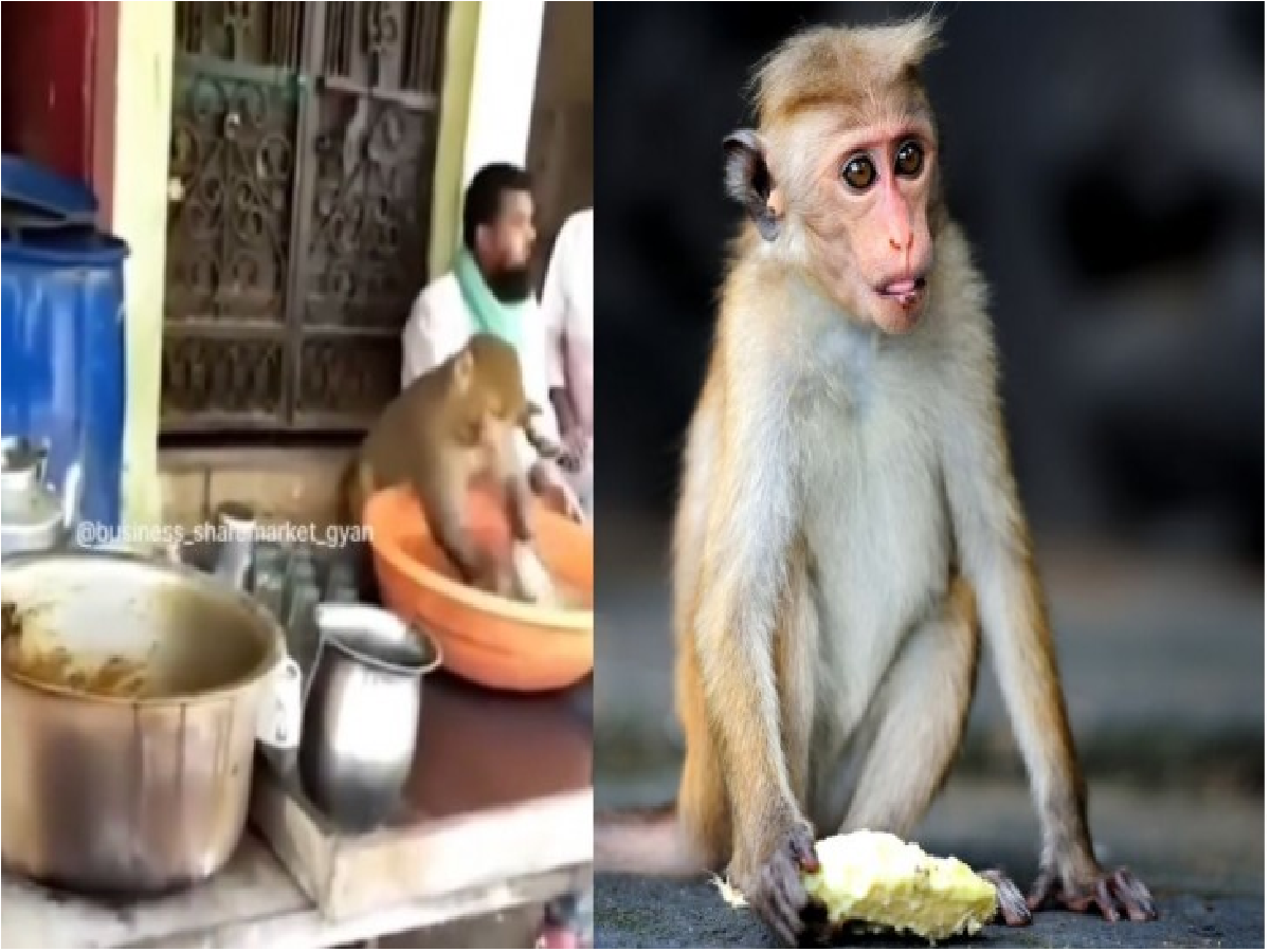 tuH43RIO viral video news 1