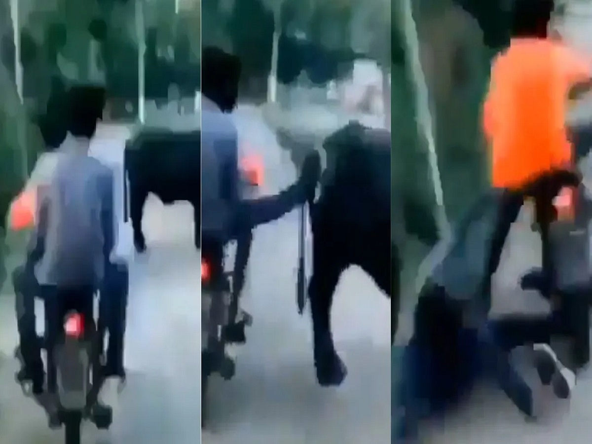 Viral Video