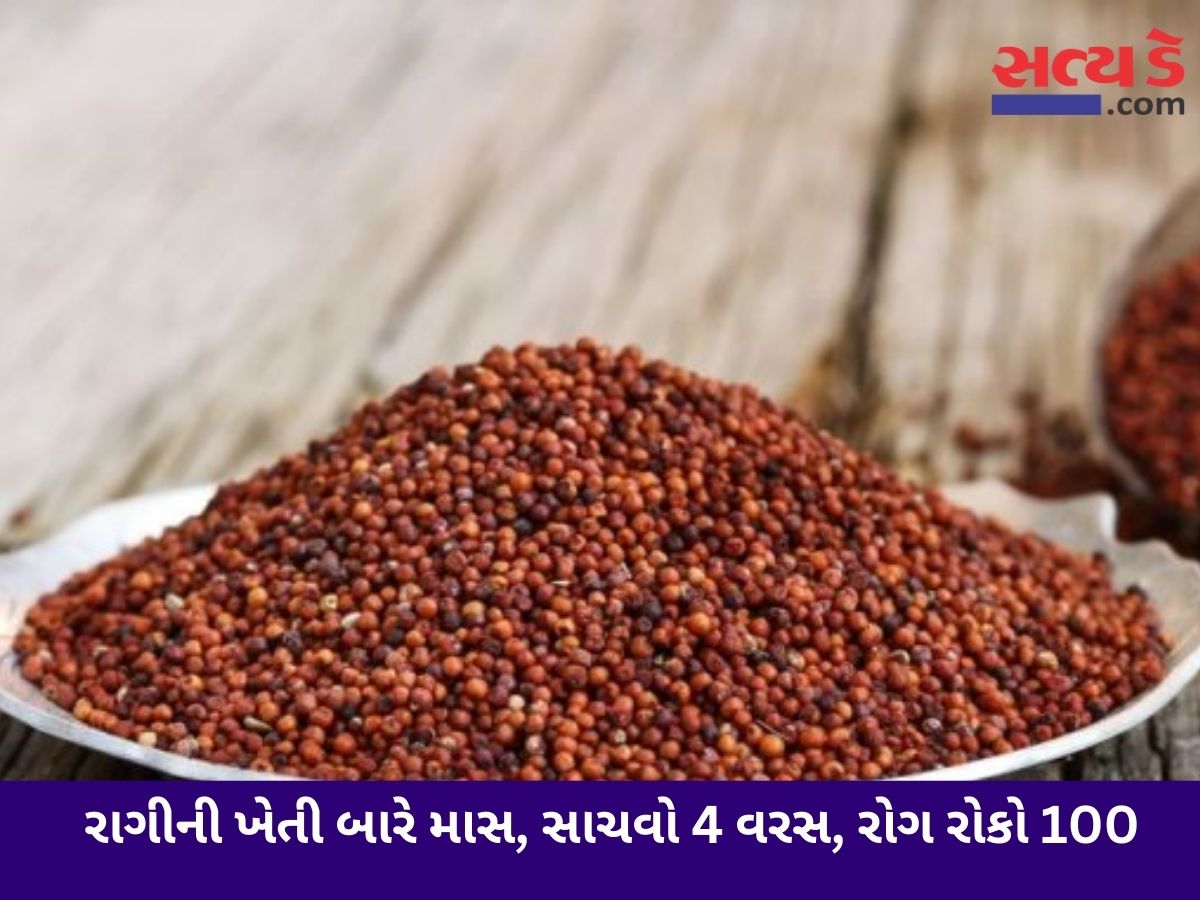 Ragi Krushi Mahiti