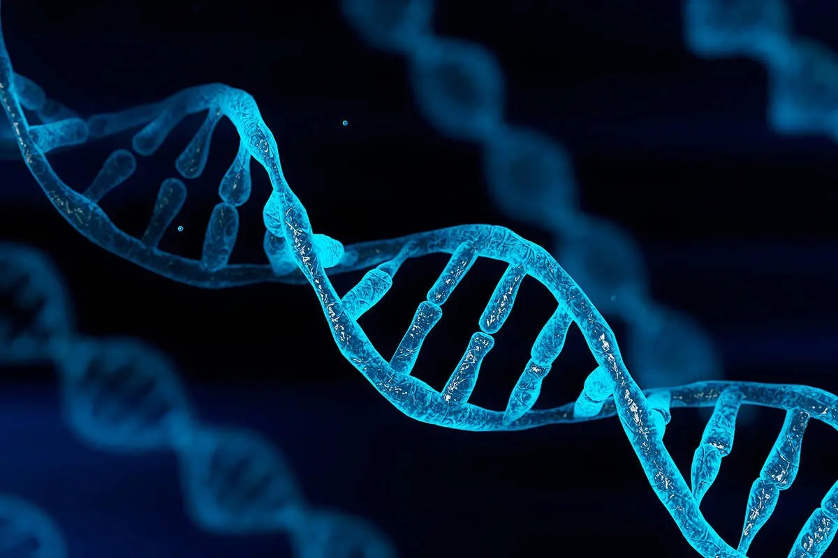 Chromosome12