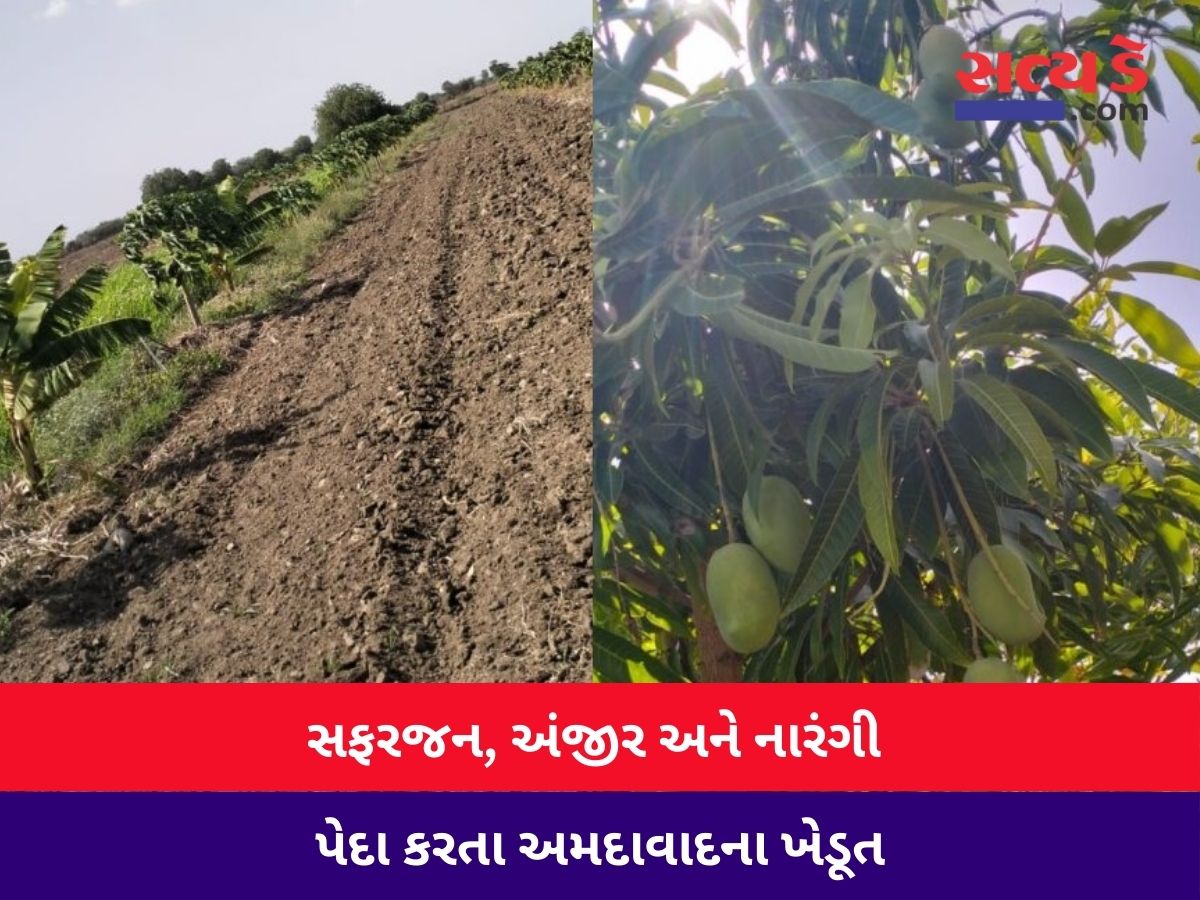 Copy of Satyaday Web 3