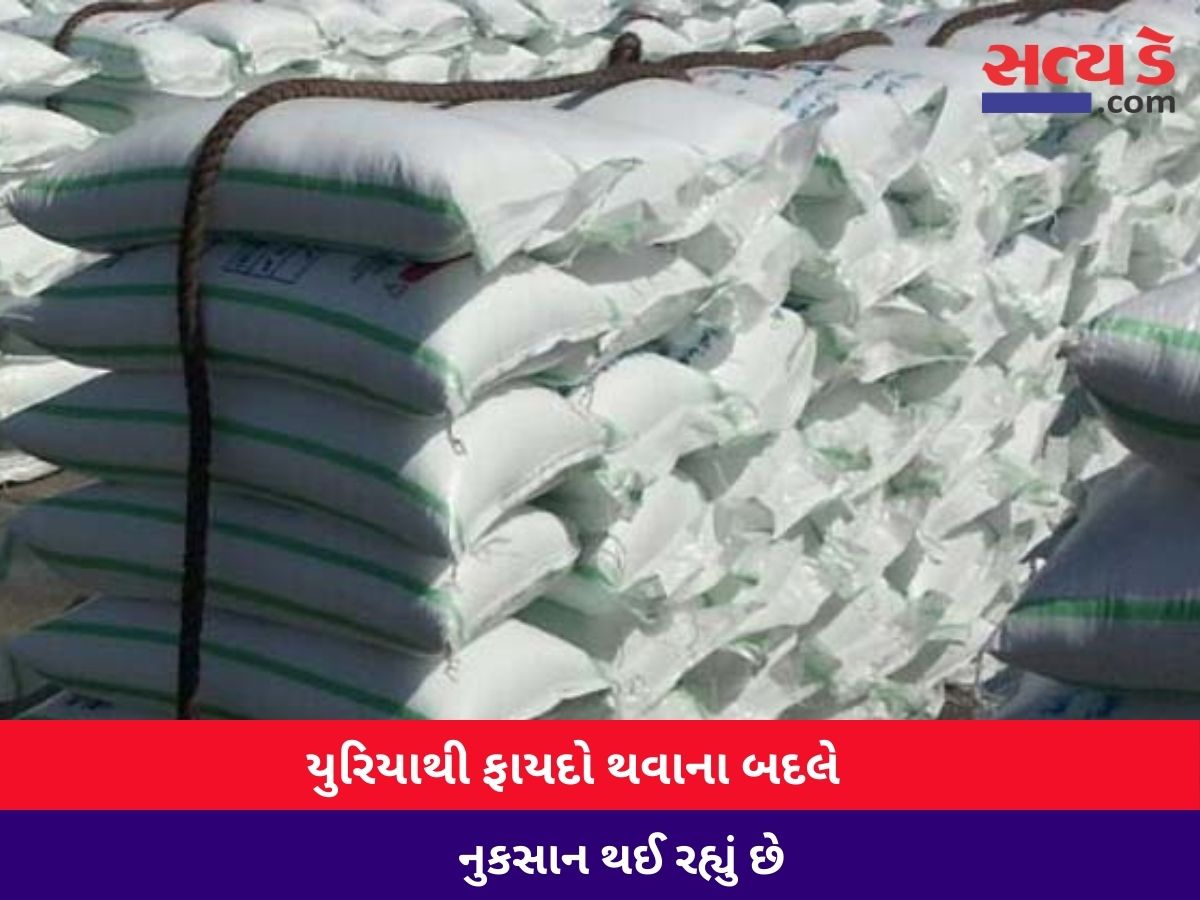 gujarat
