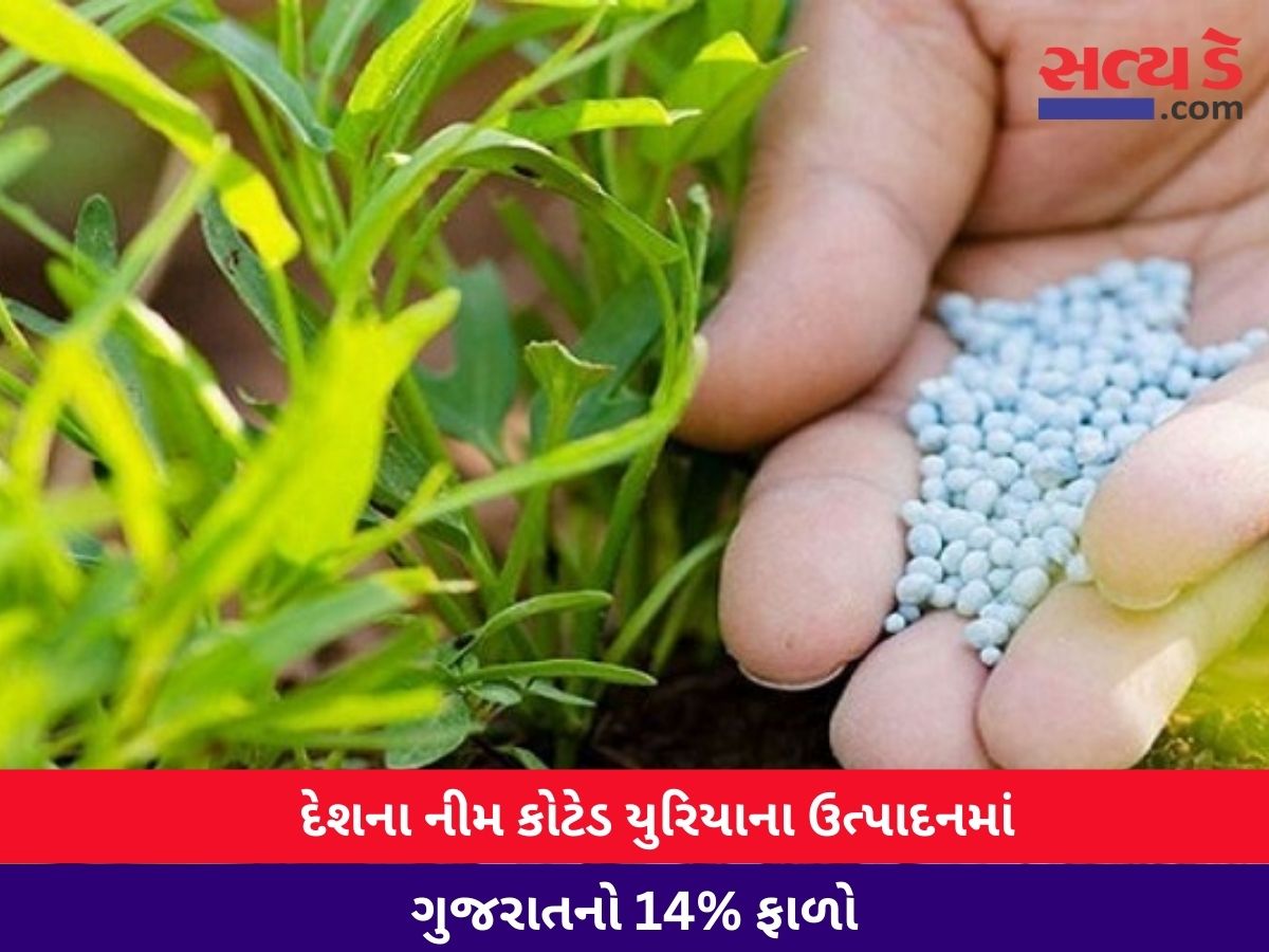 Neem Coated Urea Gujarat