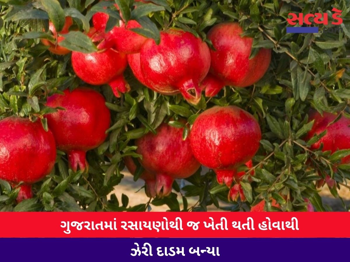 Krushi Mahiti