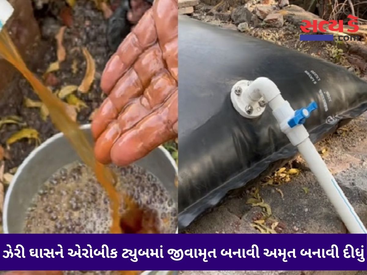એરોબીક ટ્યૂબ