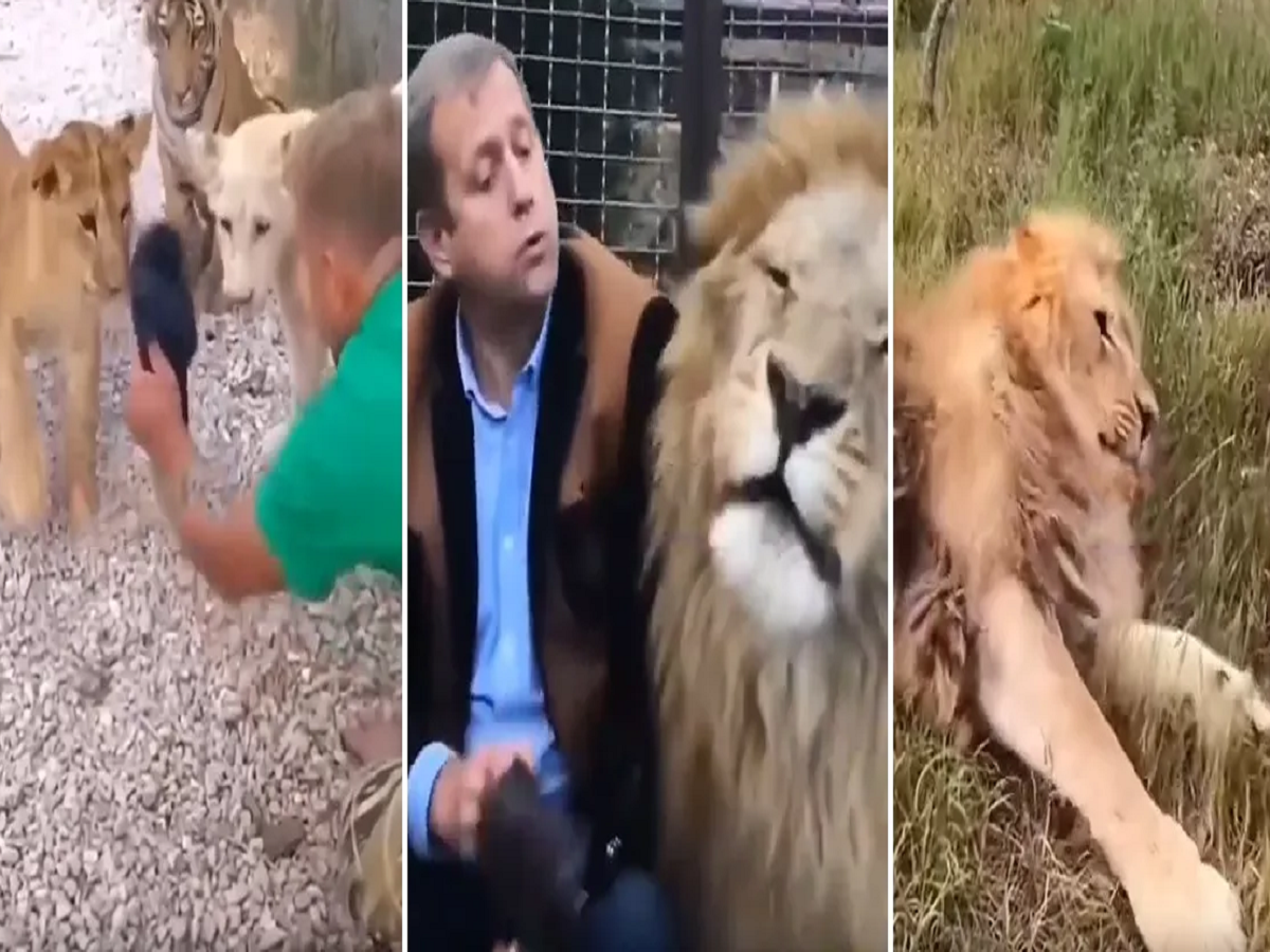 GoTAy1zW viral video