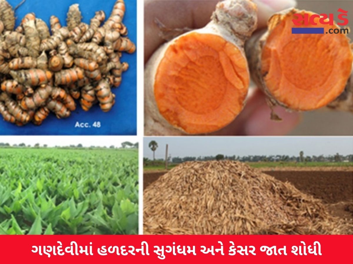 Haldar