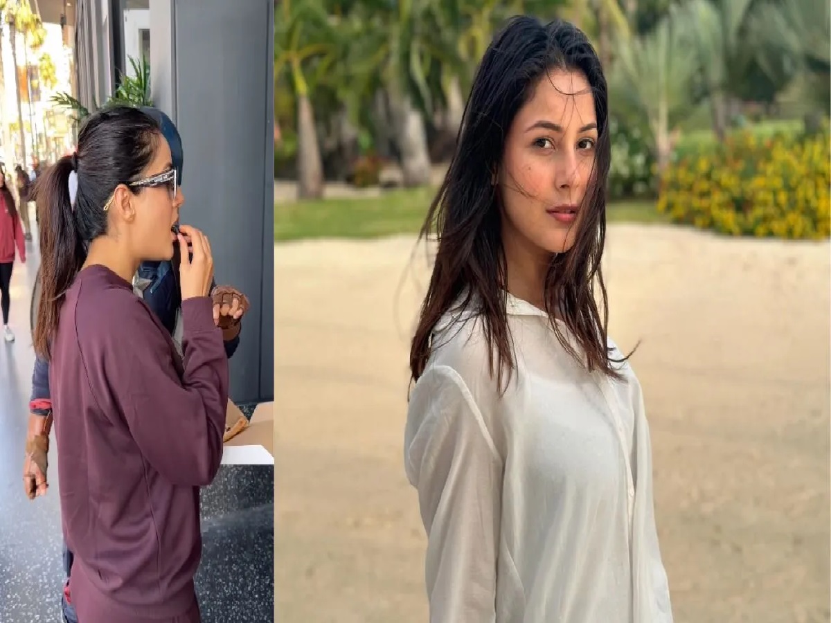 Shehnaaz Gill Satya Day