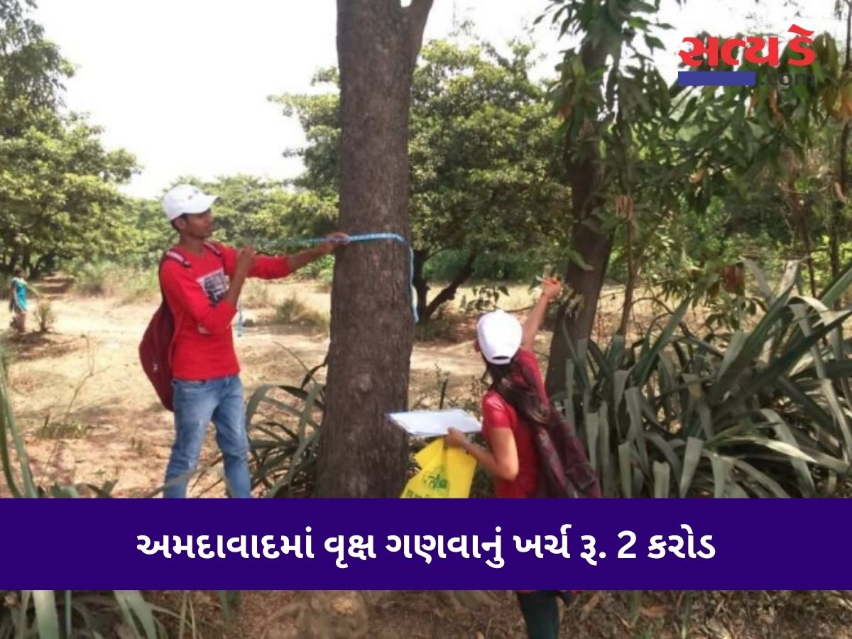 Amdavad Gujarat