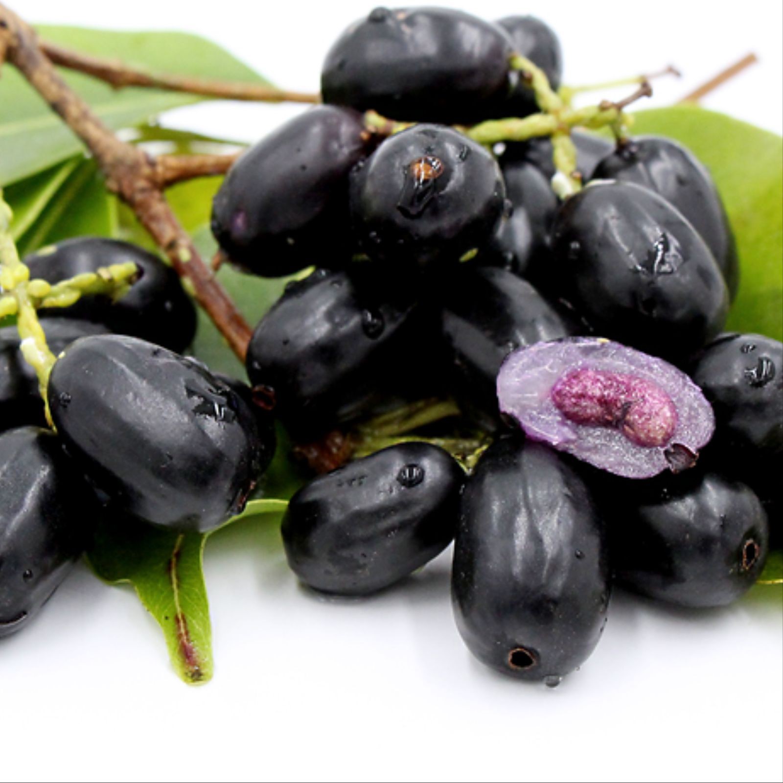 jambu.1
