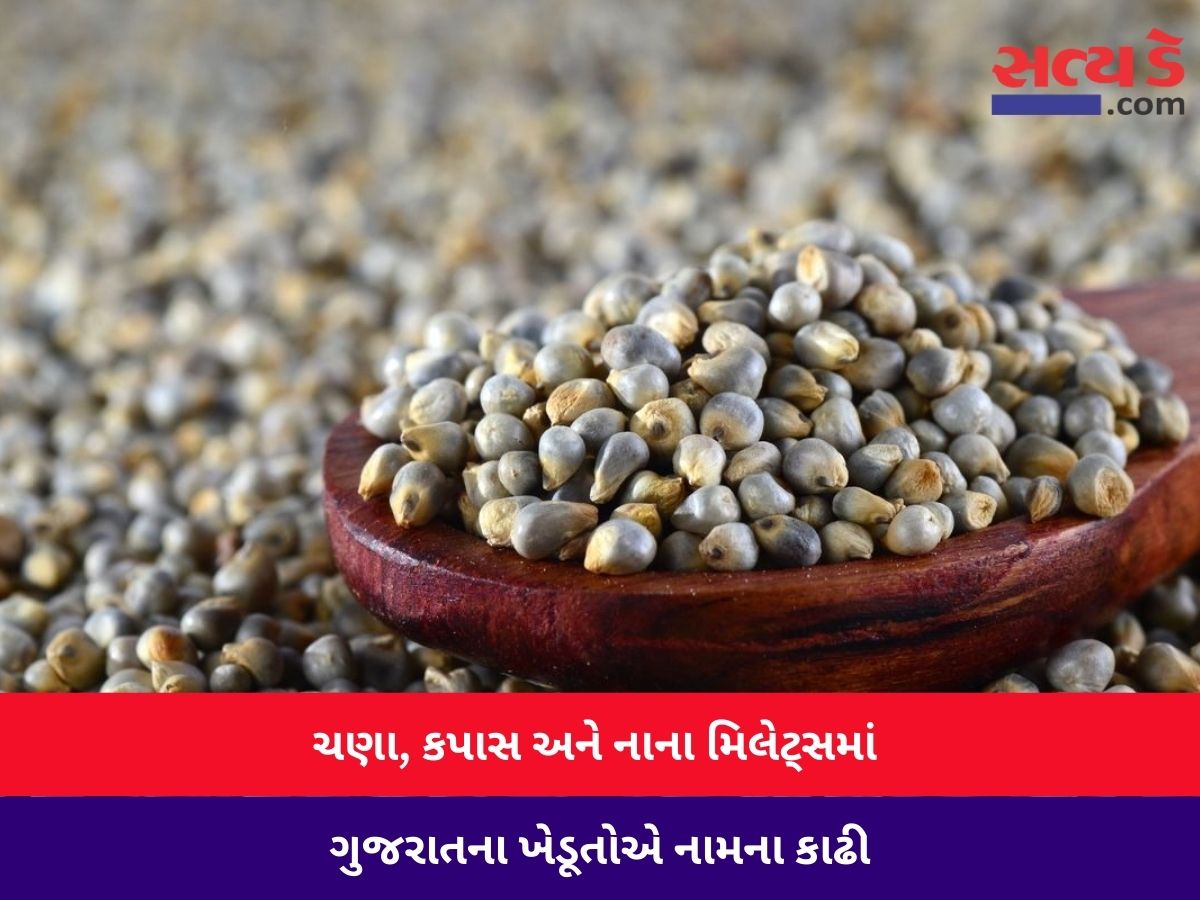 krushi jagat millets