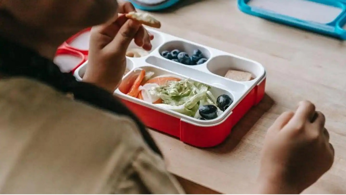 Plastic Tiffin 2 Satya Day