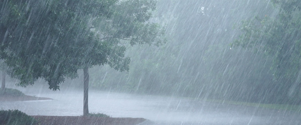 Weather Forecast Today