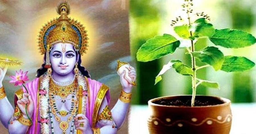 Jaya Ekadashi 2025