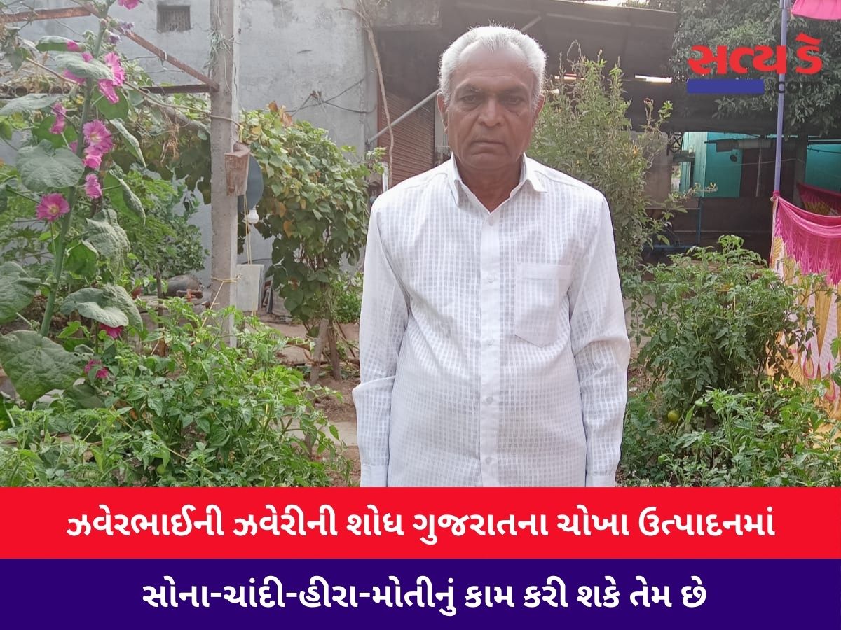 zaverbhai.1