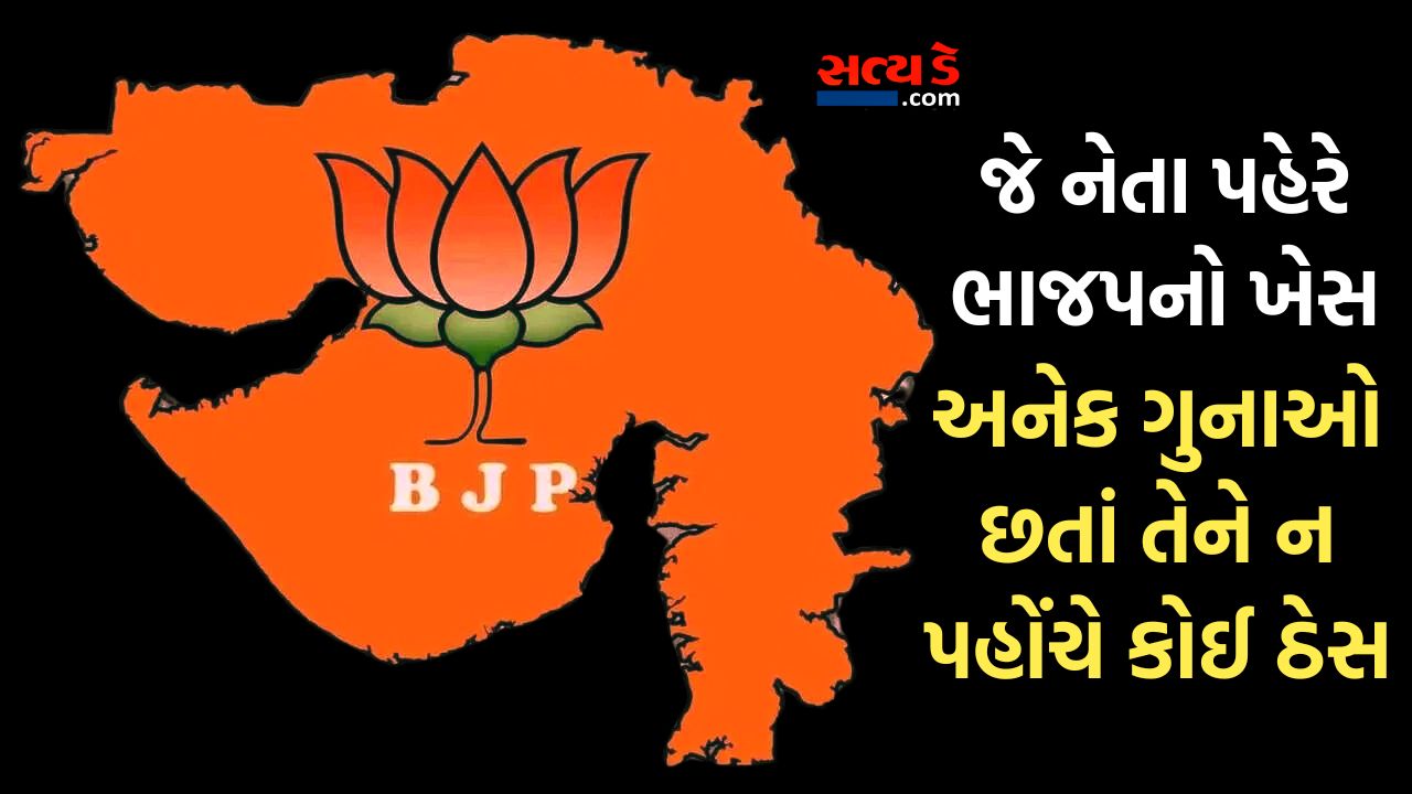 bjp gujarat news