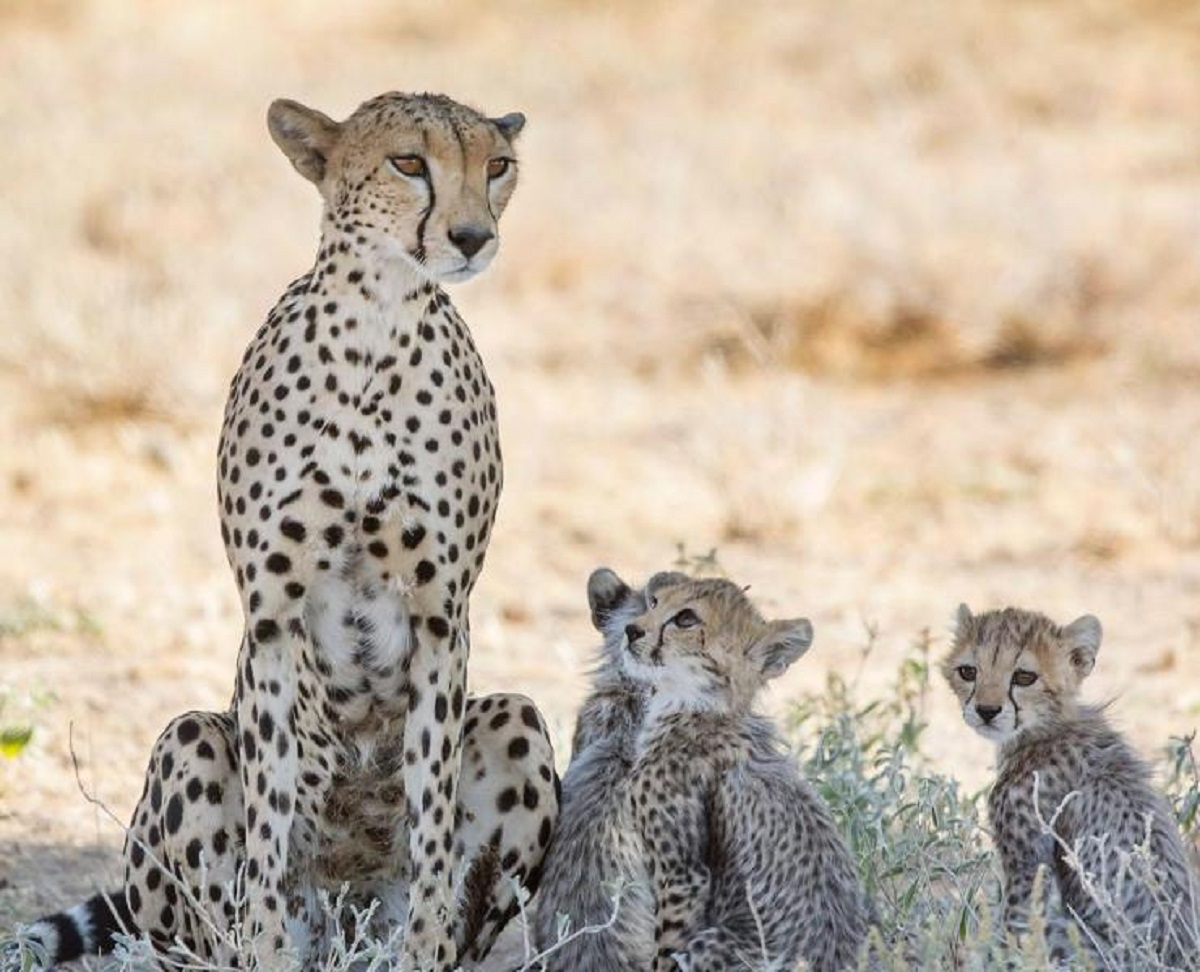 Namibia