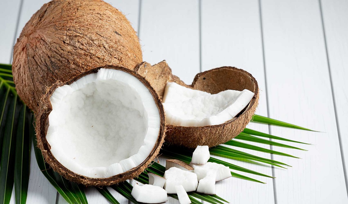 Coconut.1 Satya Day