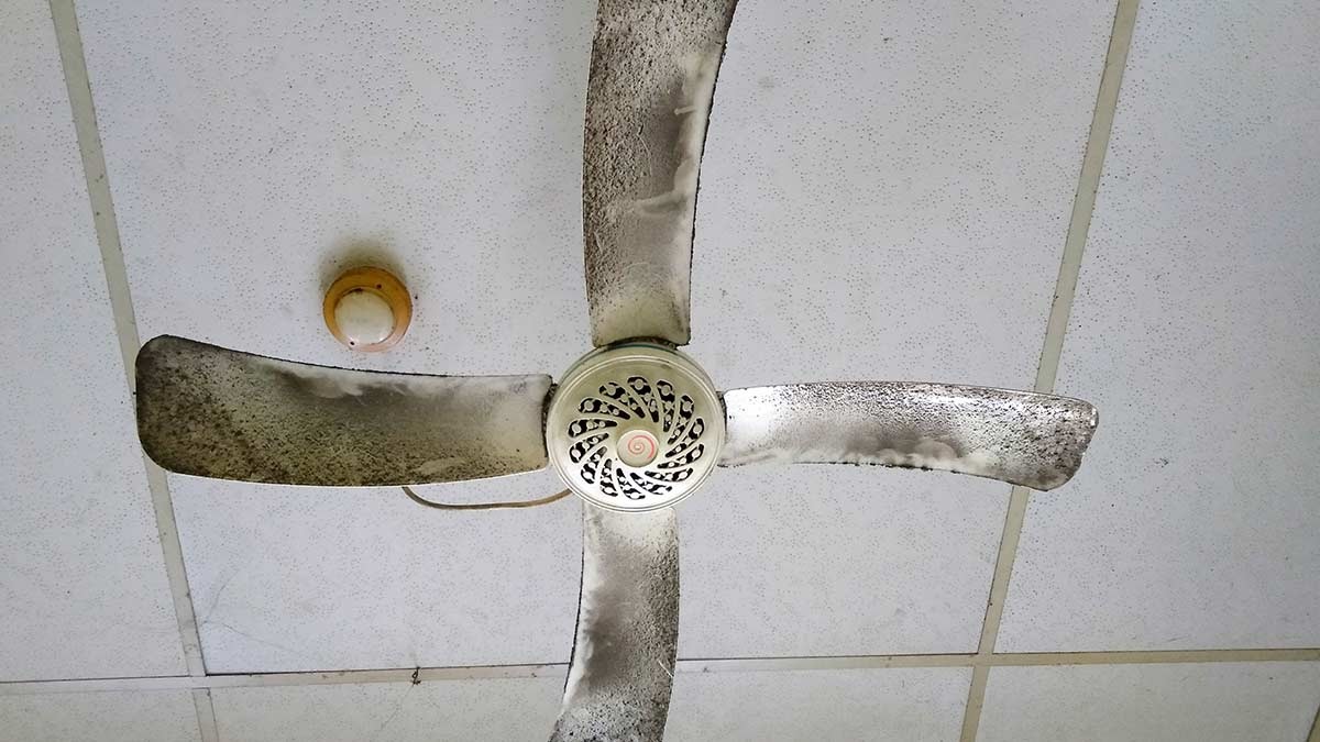 Cleaning Tips