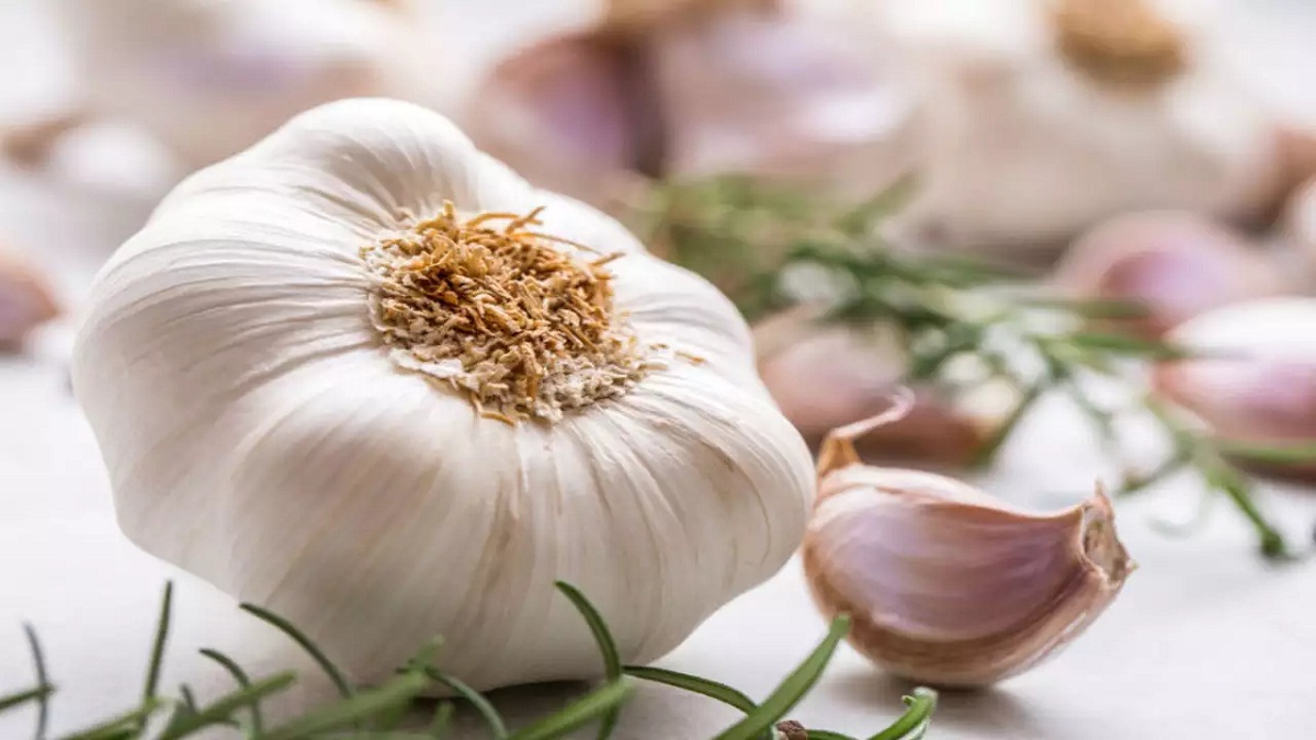 Garlic Health Benefits