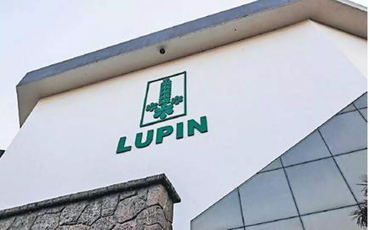Lupin