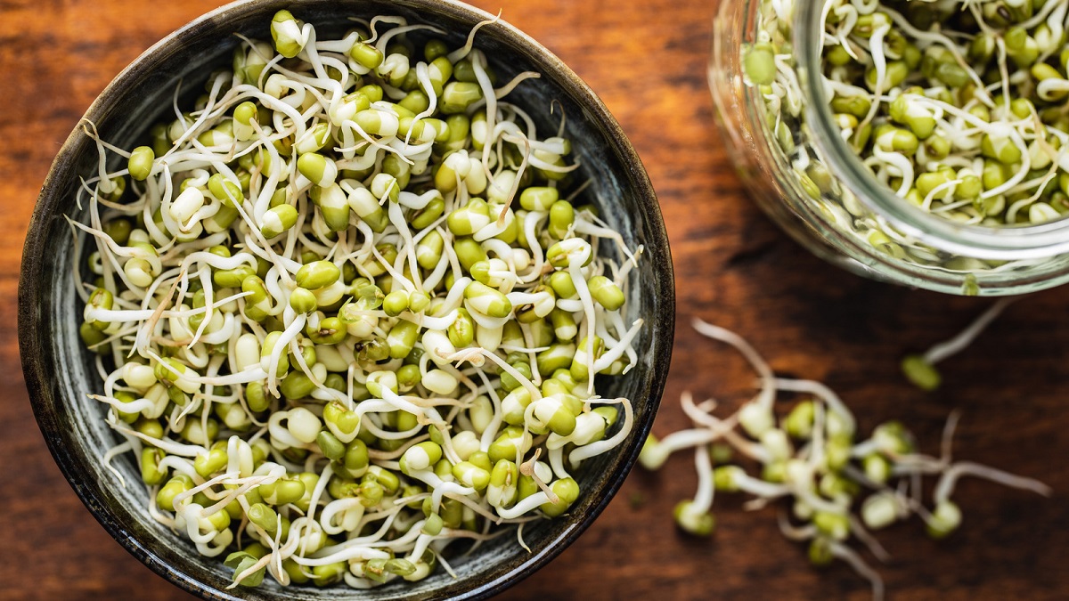 Moong Bean Satya Day
