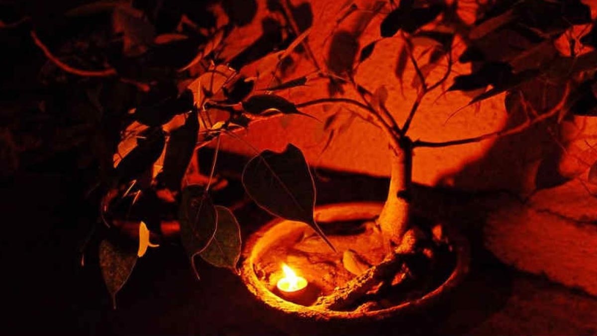 Peepal Worship