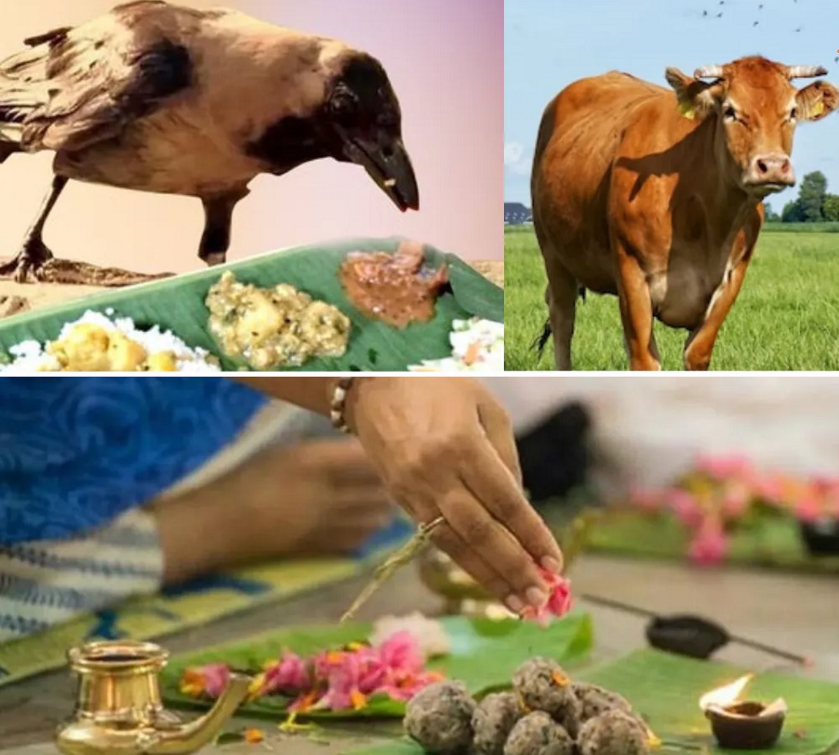 Pitru Paksha 2024