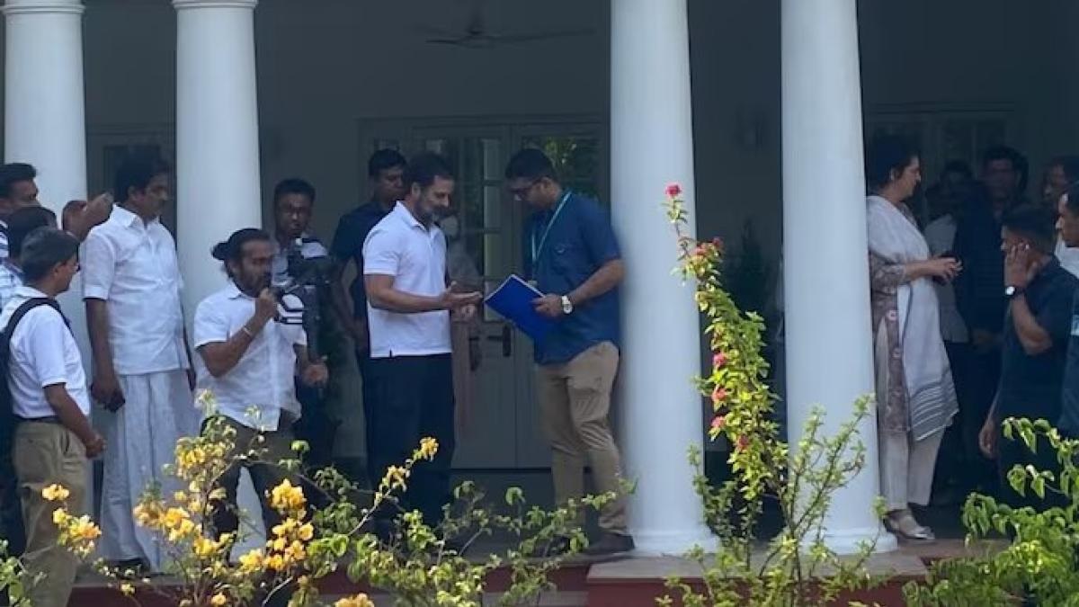 rahul gandhi ( BJP)