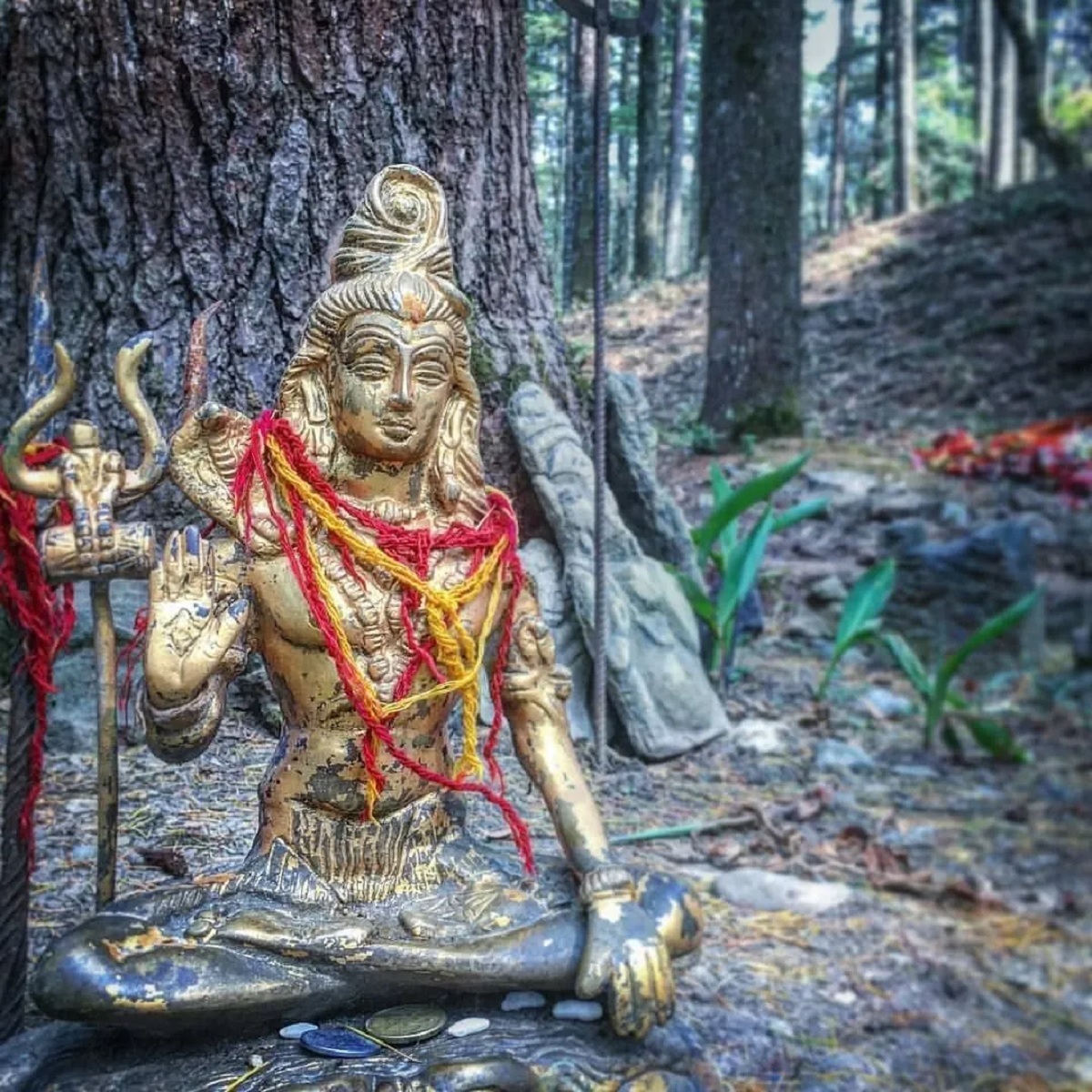 tadkeshwar remple.2