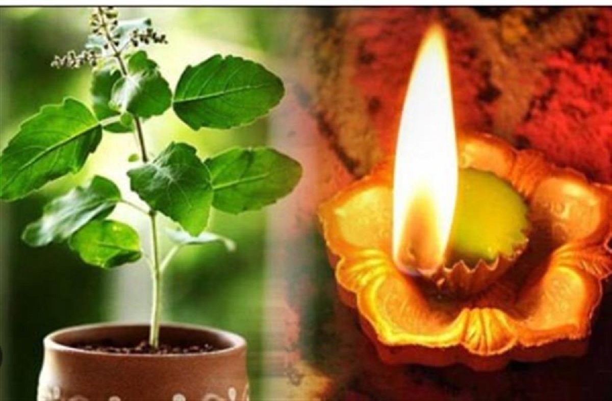Shattila Ekadashi 2025