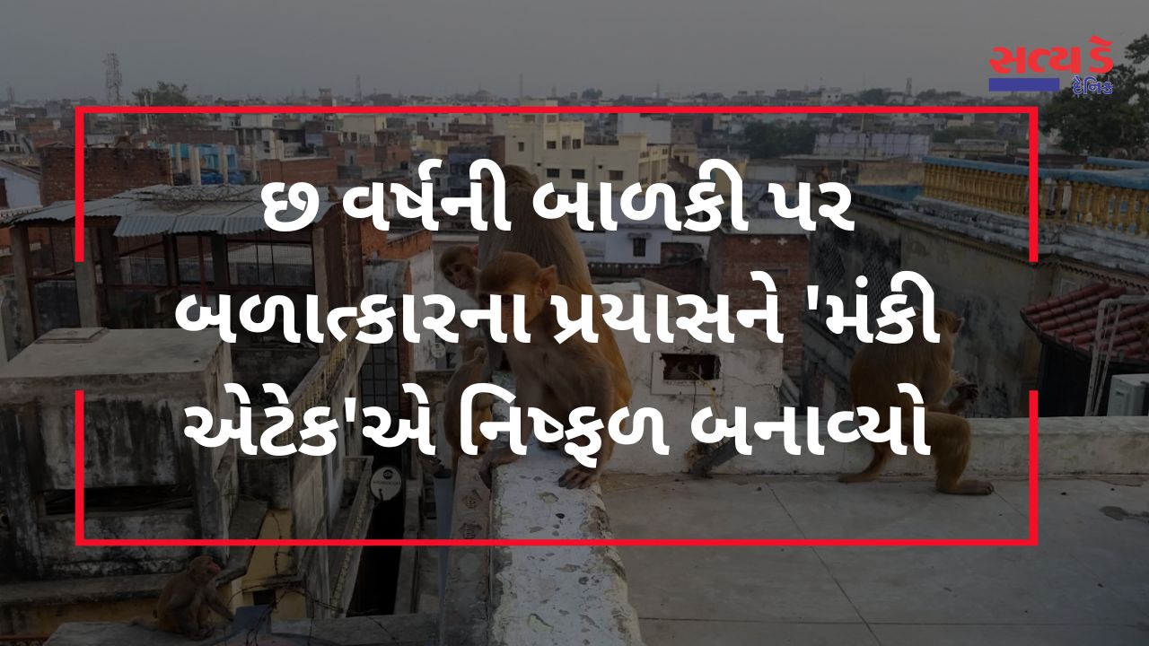 છ વર્ષની બાળકી પર બળાત્કારના પ્રયાસને મંકી એટેકએ નિષ્ફળ બનાવ્યો
