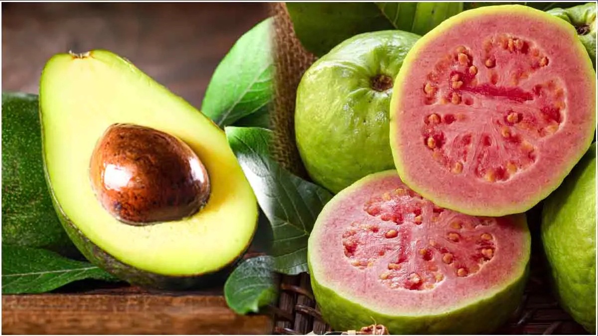 Avocado Vs Guava