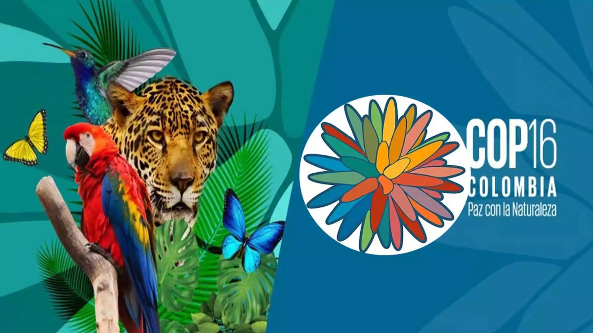 CoP16