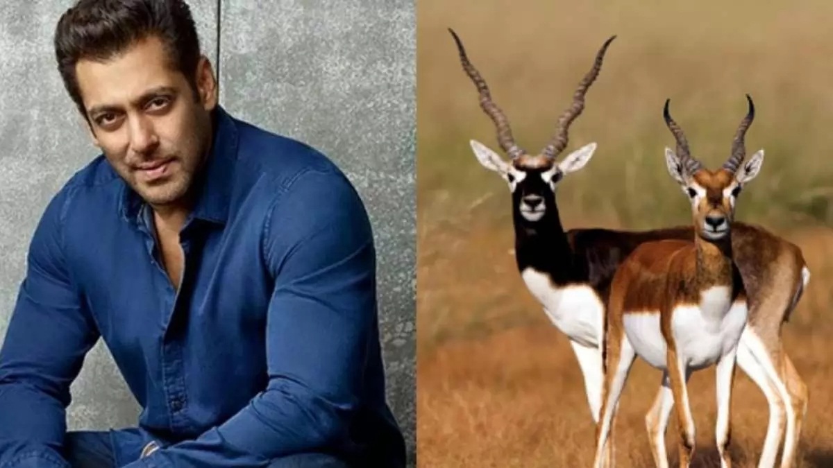 black buck