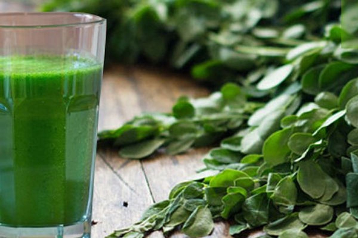 Moringa Leavs Juice.12 Satya Day