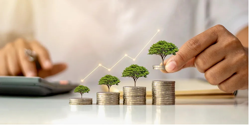 Large cap bluechip funds