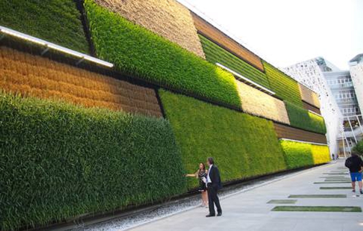 Wall Farming