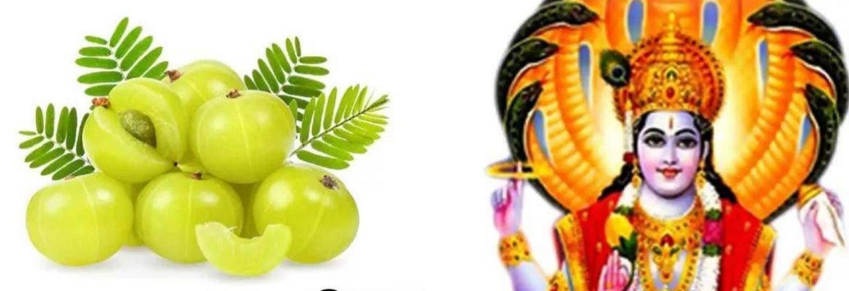 Akshaya Navami 2024