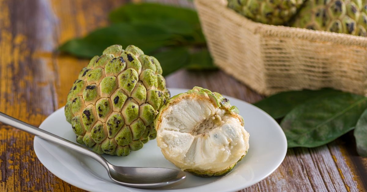 Custard Apple