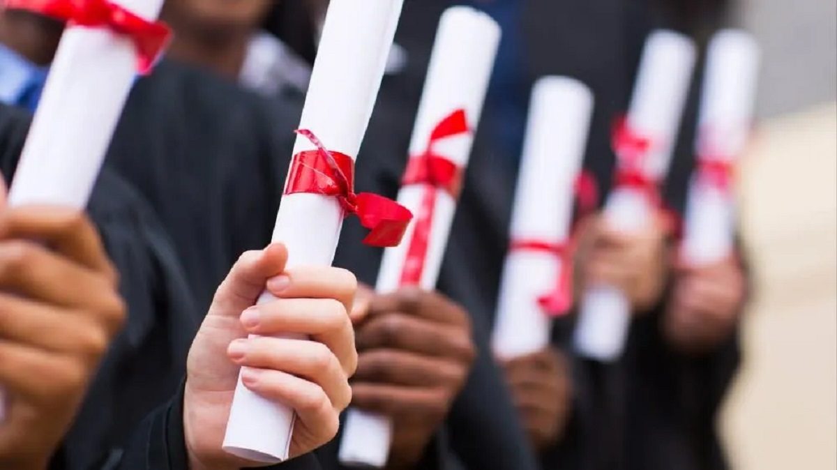 Most Expensive Degree