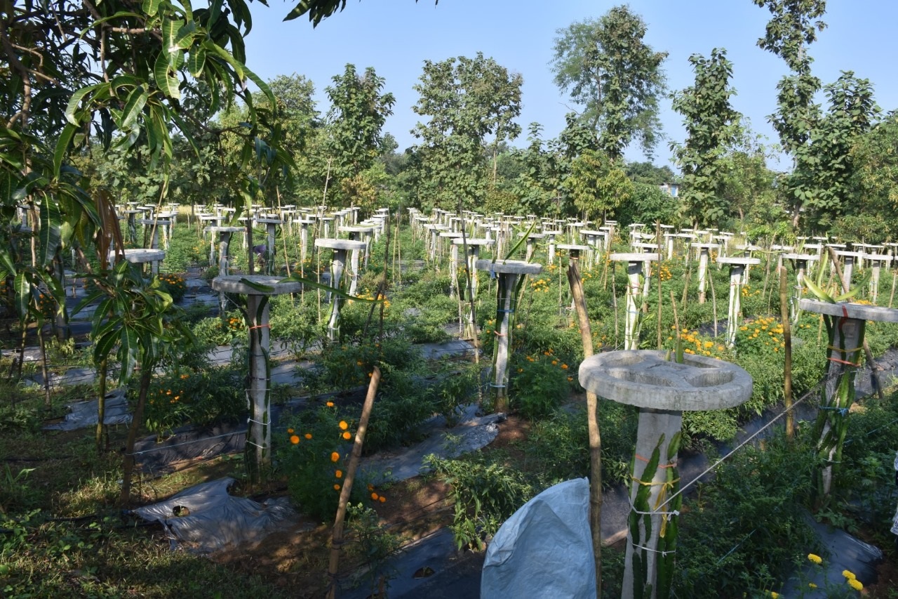 Dharampur